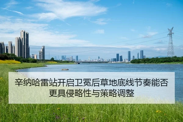 xin-na-ha-lei-zhan-kai-qi-wei-mian-hou-cao-di-di-xian-jie-zou-neng-fou-geng-ju-qin-lve-xing-yu-ce-lve-tiao-zheng-2-555.jpg